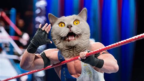 wwe kitty